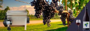 De ce ai nevoie de un desciorchinator struguri pentru a produce vin de calitate